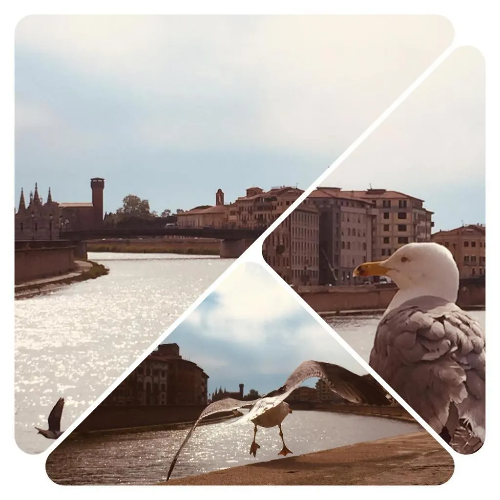 Bed & Breakfast Stazione22 B&B Pisa